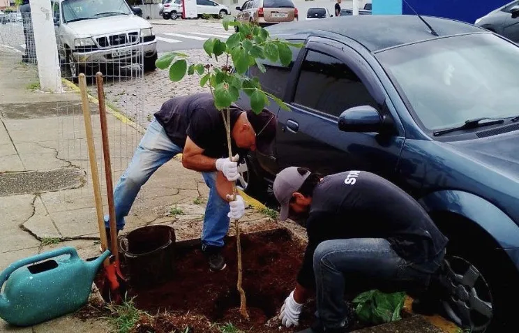Arborização em Atibaia: Prefeitura realiza plantio de 90 árvores nativas